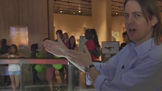 Oscillators And Waves Physics Courses Rice University